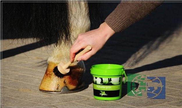 Bense-Eicke: Зеленая мазь для копыт / PARISOL HUFSALBE GRÜN с лавровым маслом, 500 мл