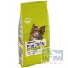 Сухой корм Purina Dog Chow Adult для взрослых собак, ягнёнок, пакет, 14 кг
