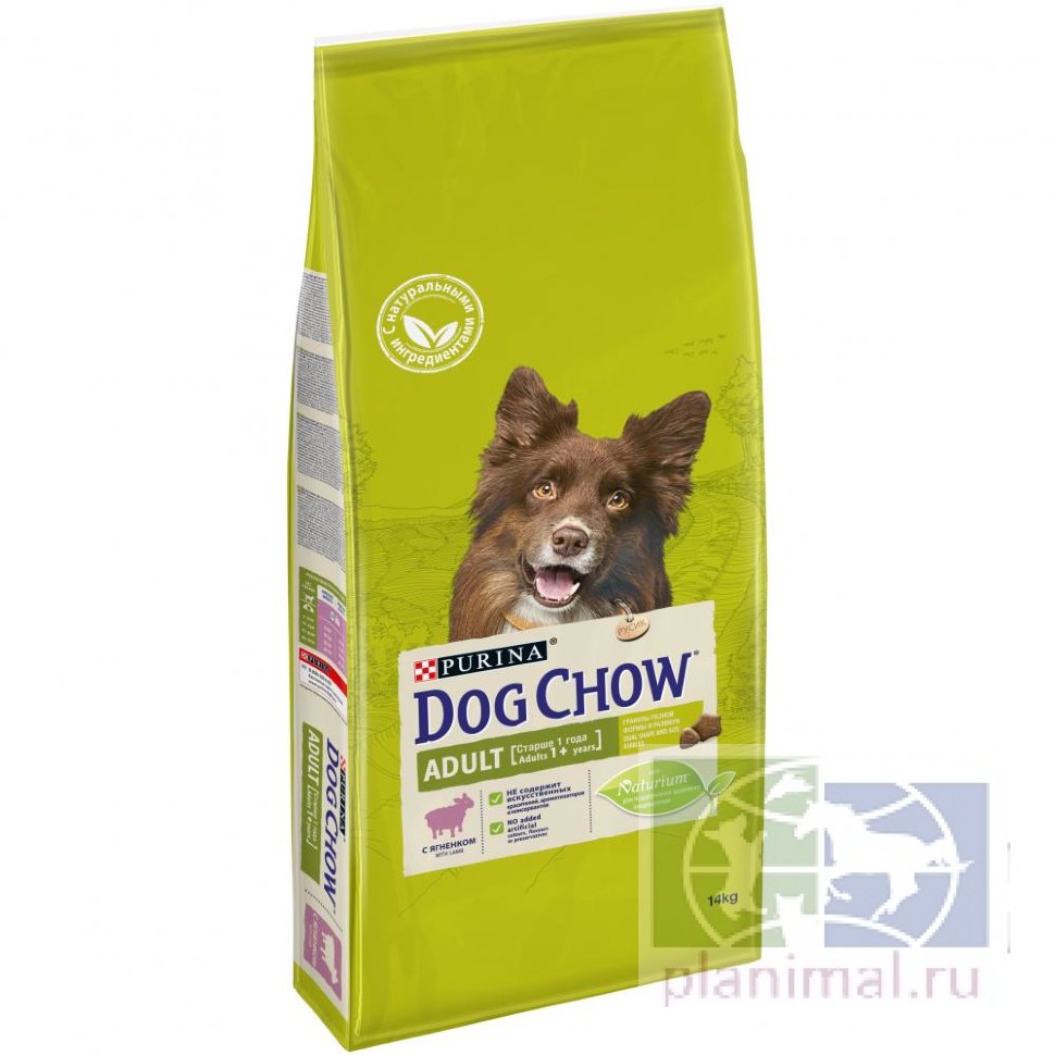 Сухой корм Purina Dog Chow Adult для взрослых собак, ягнёнок, пакет, 14 кг