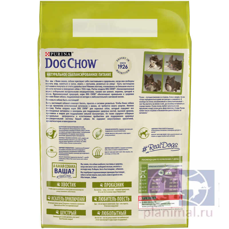 Сухой корм Purina Dog Chow Adult для взрослых собак, ягнёнок, пакет, 2,5 кг