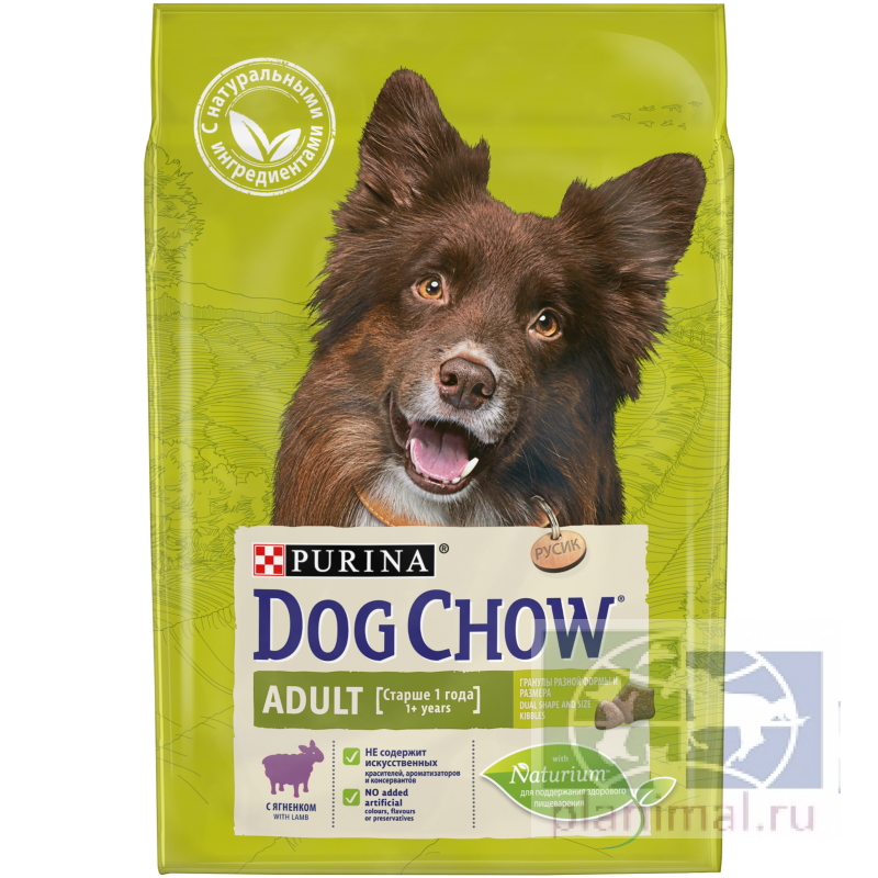 Сухой корм Purina Dog Chow Adult для взрослых собак, ягнёнок, пакет, 2,5 кг