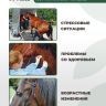 Be:Natu  Pro: sport mix корм для лошадей в спортивном тренинге, набор мышечной массы, 20 кг