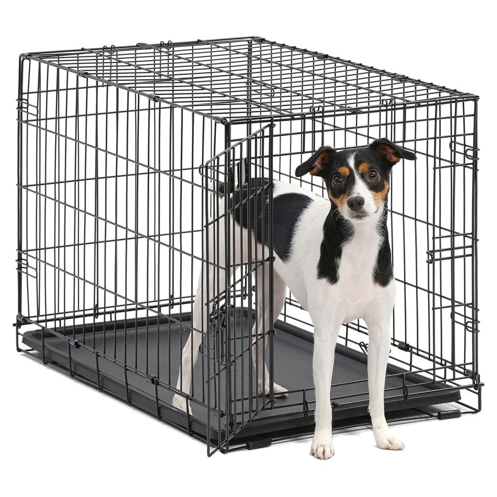 MidWest: Клетка iCrate, для собак, 1 дверь, черная, 76 х 48 х 53 см
