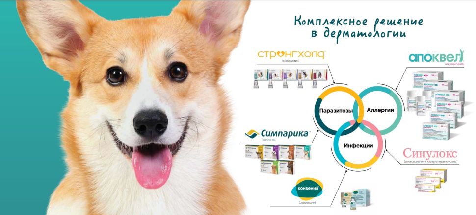 Zoetis: Симпарика от блох и клещей для собак 5,1 - 10 кг, жевательные таблетки 20 мг, 3 шт/уп.