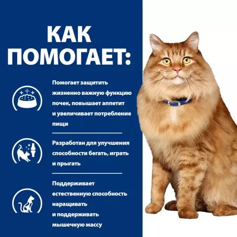 Hill's: Cat k/d + j/d диета, для поддержания здоровья почек и суставов, для кошек, 1,5 кг