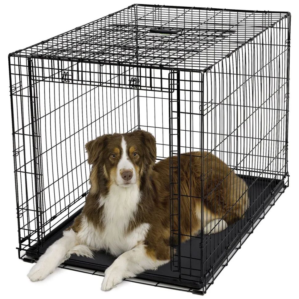 MidWest: Клетка Ovation, для собак, с торцевой вертикально-откидной дверью, черная, 111 х 72 х 77 см