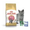 RC KittenBritish shorthair Корм для британских короткошерстных котят в возрасте до 12 месяцев, 2 кг