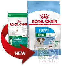  Royal Canin Mini Puppy, для щенков мелких пород до 10 мес, 0,5 кг + 0,3 в подарок