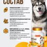 Unitabs ArthroActive с глюкозамином, Q10 и МСM, хондропротектор для собак, 200 таб.