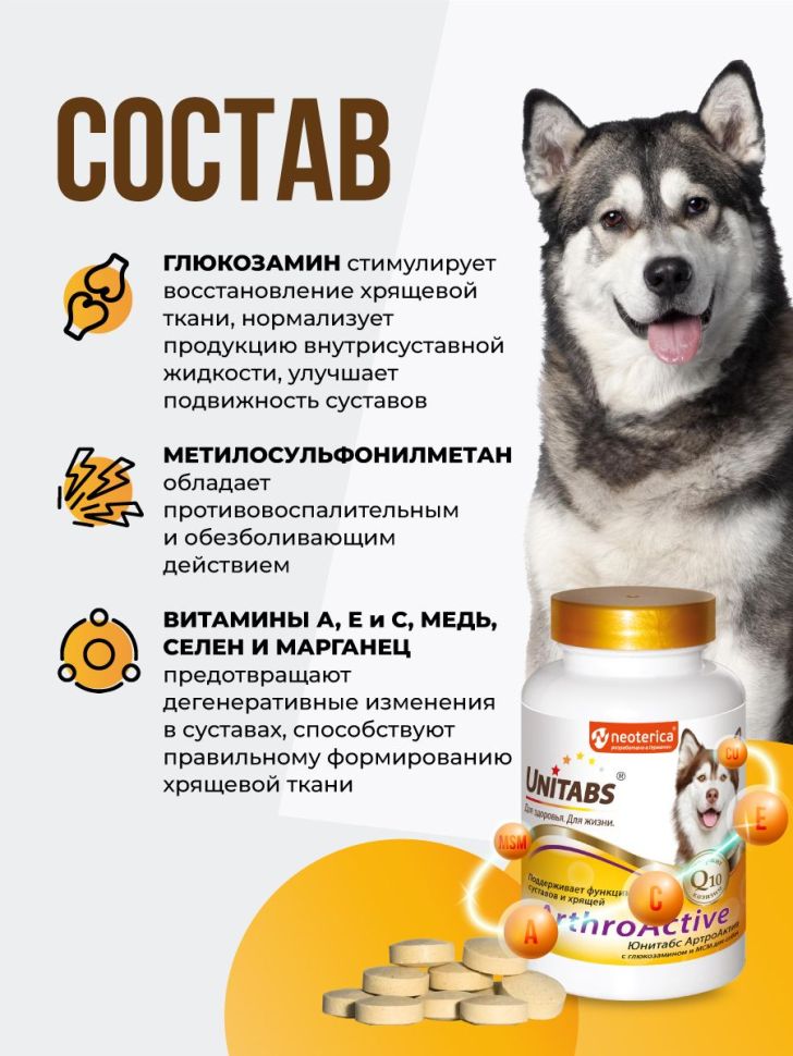 Unitabs ArthroActive с глюкозамином, Q10 и МСM, хондропротектор для собак, 200 таб.