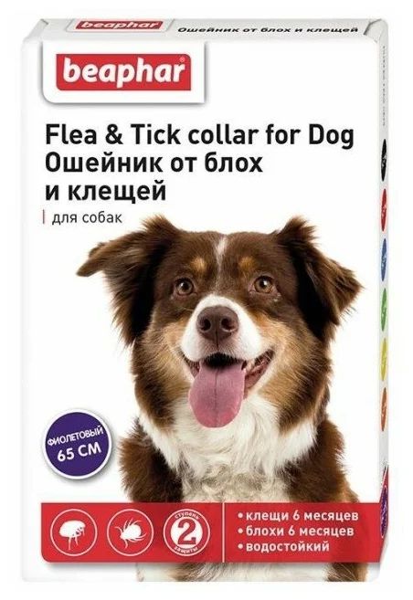Beaphar: Ошейник Flea & Tick collar for Dog, от блох и клещей, для собак, фиолетовый, 65 см