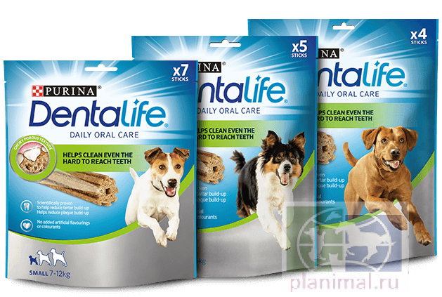 Purina Dentalife medium snacks для собак средних пород 12-25 кг для здоровья полости рта, 5 шт./уп., 115 гр.