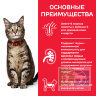 Сухой корм Hill's Science Plan для взрослых кошек для поддержания жизненной энергии и иммунитета, с ягненком, 300 г