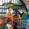 Super Bird:  Игрушка для крупных попугаев "Willy Nilly XL"