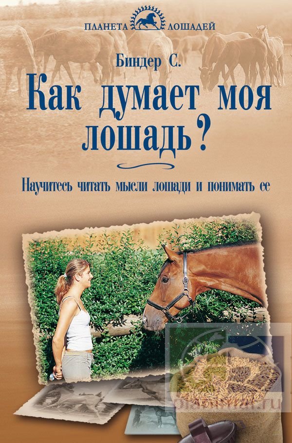 Биндер Сибилла Луиза "Как думает моя лошадь? Научитесь читать мысли лошади и понимать её."