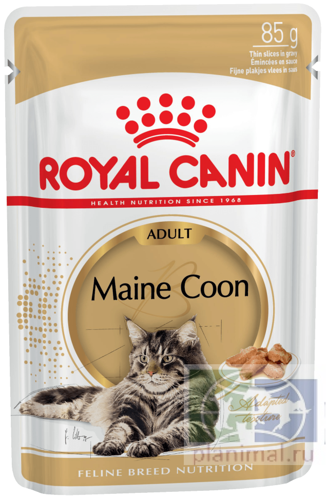 RC Maine Coon Adult (в соусе), Влажный корм для кошек породы мейн-кун старше 15 месяцев, мясо-рыба, 85 гр.