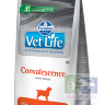 Vet Life Dog Convalescence диета для кормления собак в период выздоровления, 2 кг