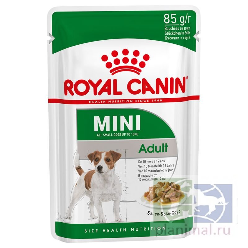 Royal Canin Mini Adult кусочки в соусе для взрослых собак мелких пород, 85 гр.