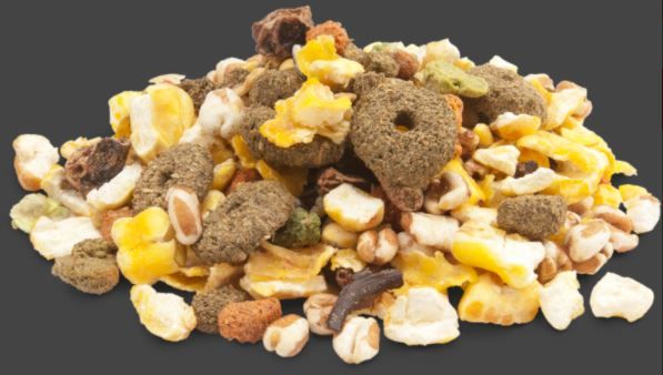Versele-Laga Crispy Snack Popcorn 0.650 д/грызунов