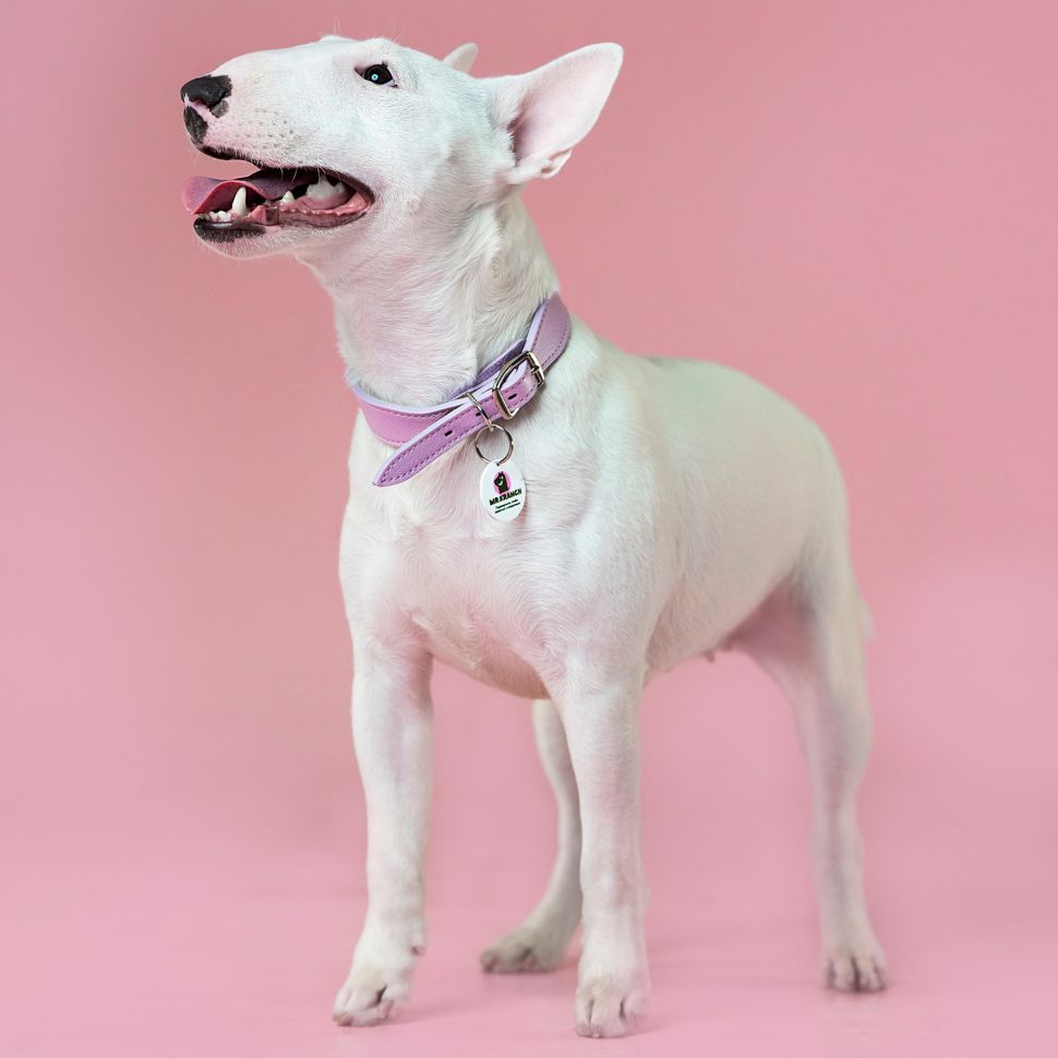 Mr.Kranch: Ошейник для собак, из натуральной кожи, с QR-адресником, нежно-розовый, 30-35 см