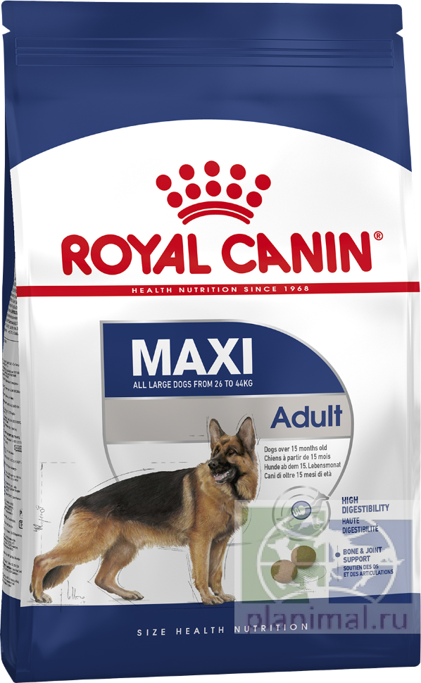 RC Maxi adult  Корм для собак от 15 месяцев до 5 лет, 15 кг