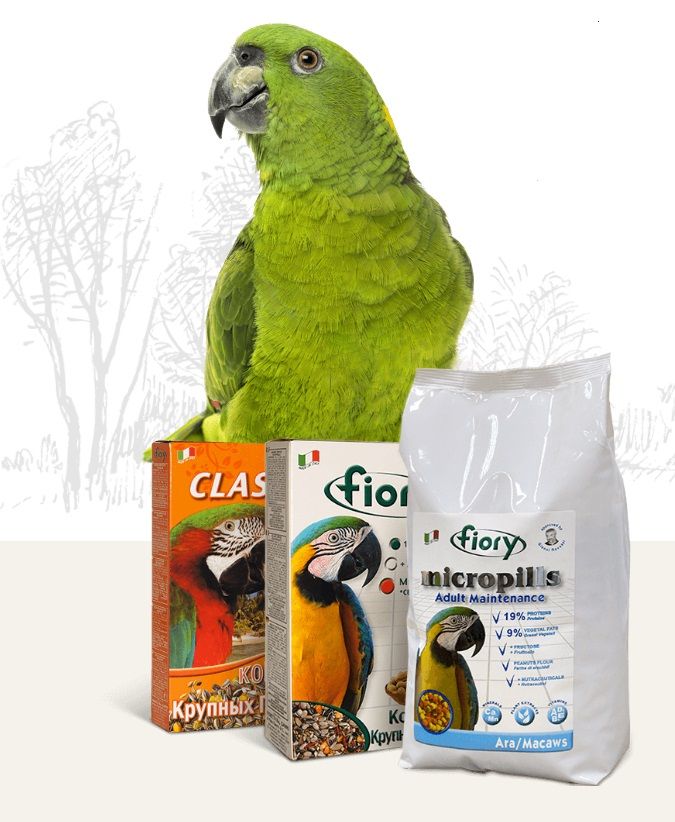 FIORY смесь для крупных попугаев Pappagalli, 700 гр.