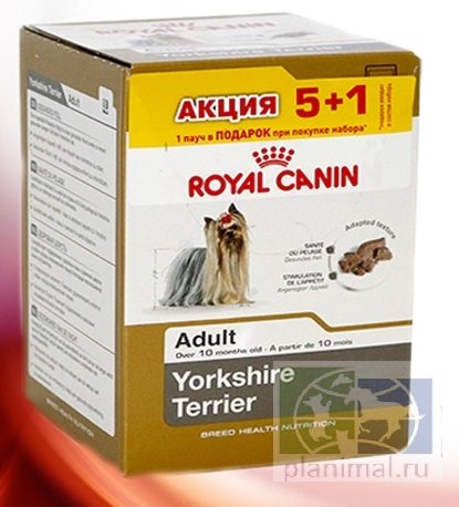 RC Yorkshire Terrier Adult (паштет), 85 гр. пауч, набор 5 + 1 в подарок