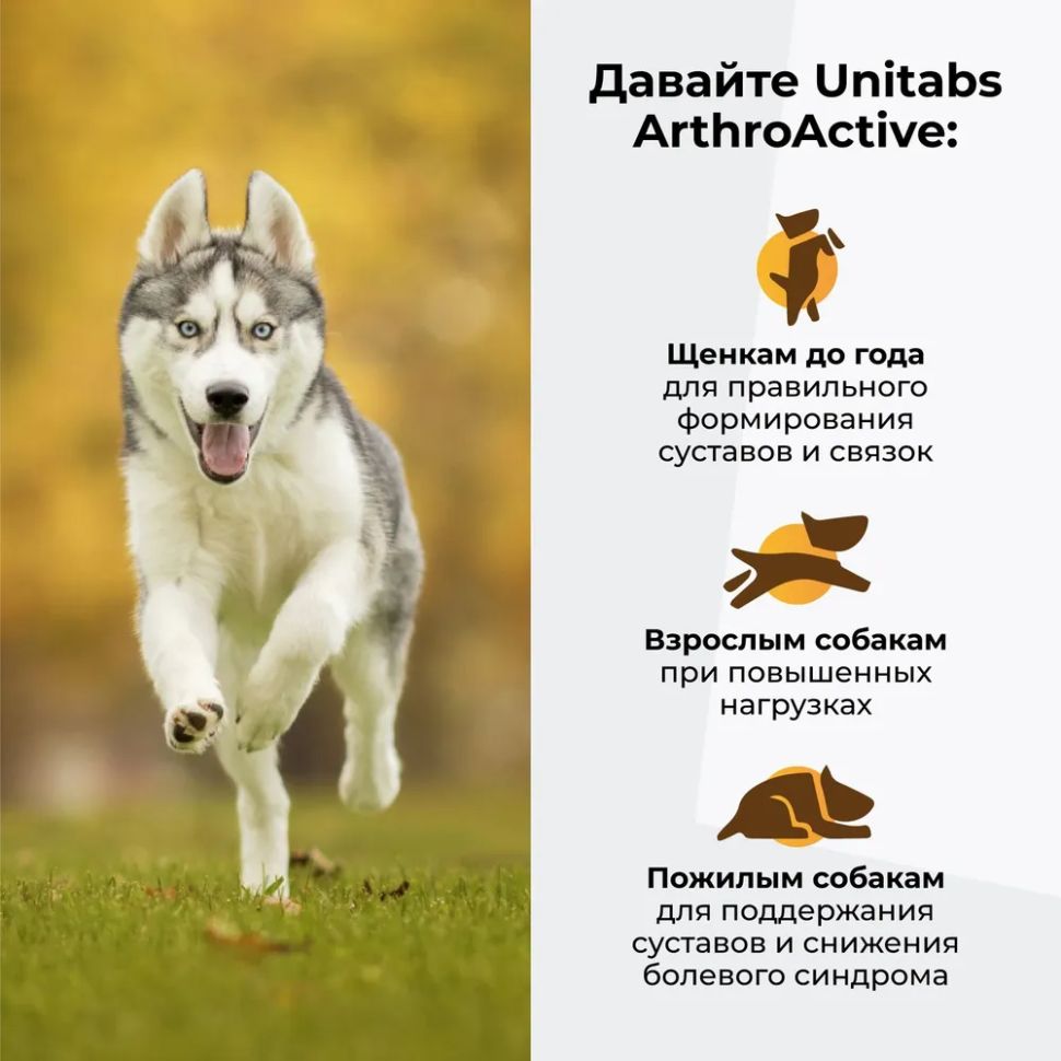 Unitabs ArthroActive с глюкозамином, Q10 и МСM, хондропротектор для собак, 100 таб.