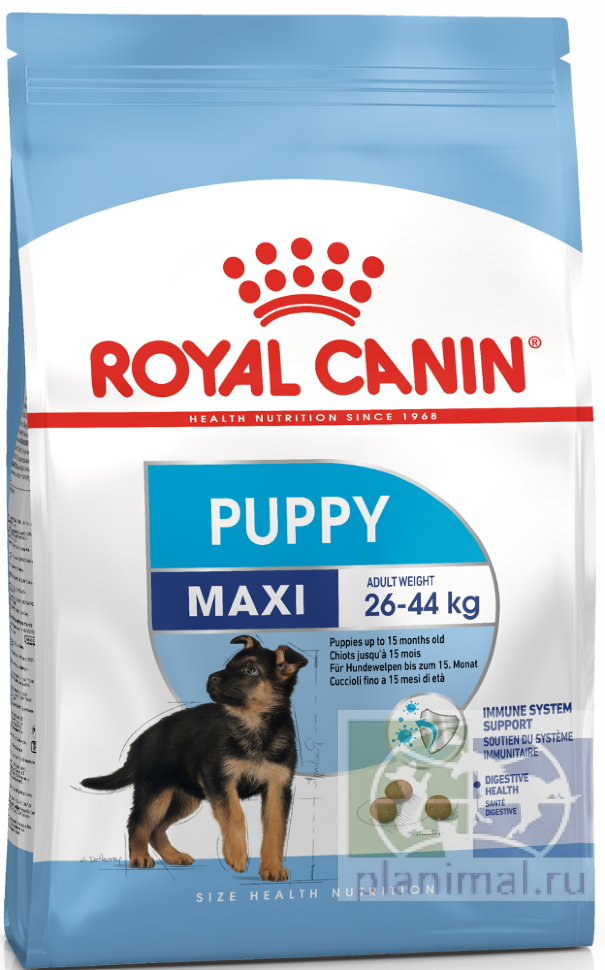 RC Maxi Puppy сухой корм для щенков собак крупных размеров (вес взрослой собаки от 25 до 45 кг) c 2 до 15 месяцев, 4 кг