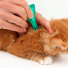 Elanco: Адвокат капли для кошек от внутренних и наружных паразитов  4-8 кг, 1 пипетка