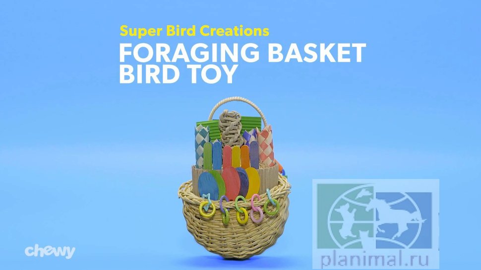 Super Bird:  Игрушка для средних попугаев "Foraging Basket"