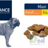 Advance корм для взрослых собак крупных пород с курицей и рисом Maxi Adult, 14 кг