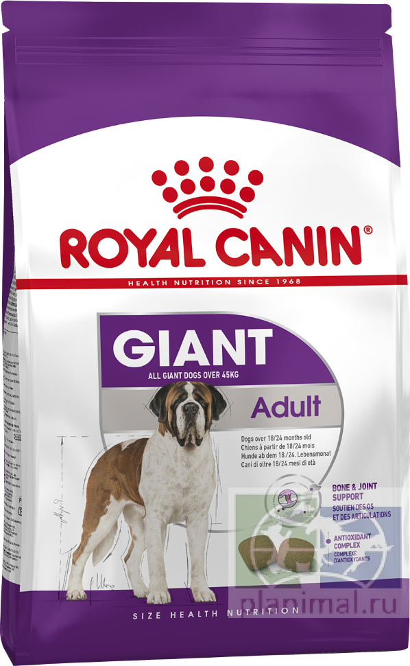RC Giant adult  Корм для собак старше 18/24 месяцев, 4 кг