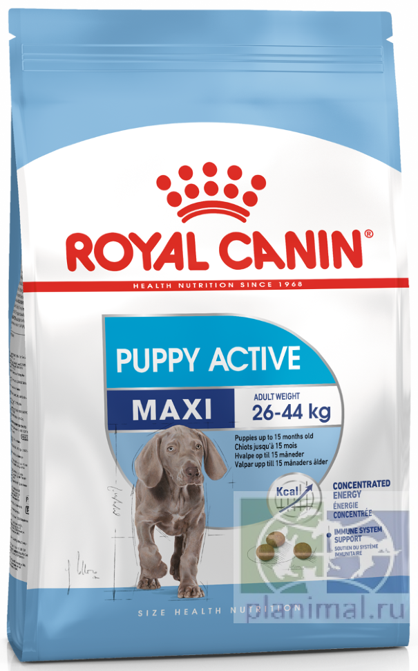 RC Maxi Puppy Active сухой корм для щенков крупных собак (вес взрослой собаки от 25 до 45 кг) с высокими энергетическими потребностями, 15 кг