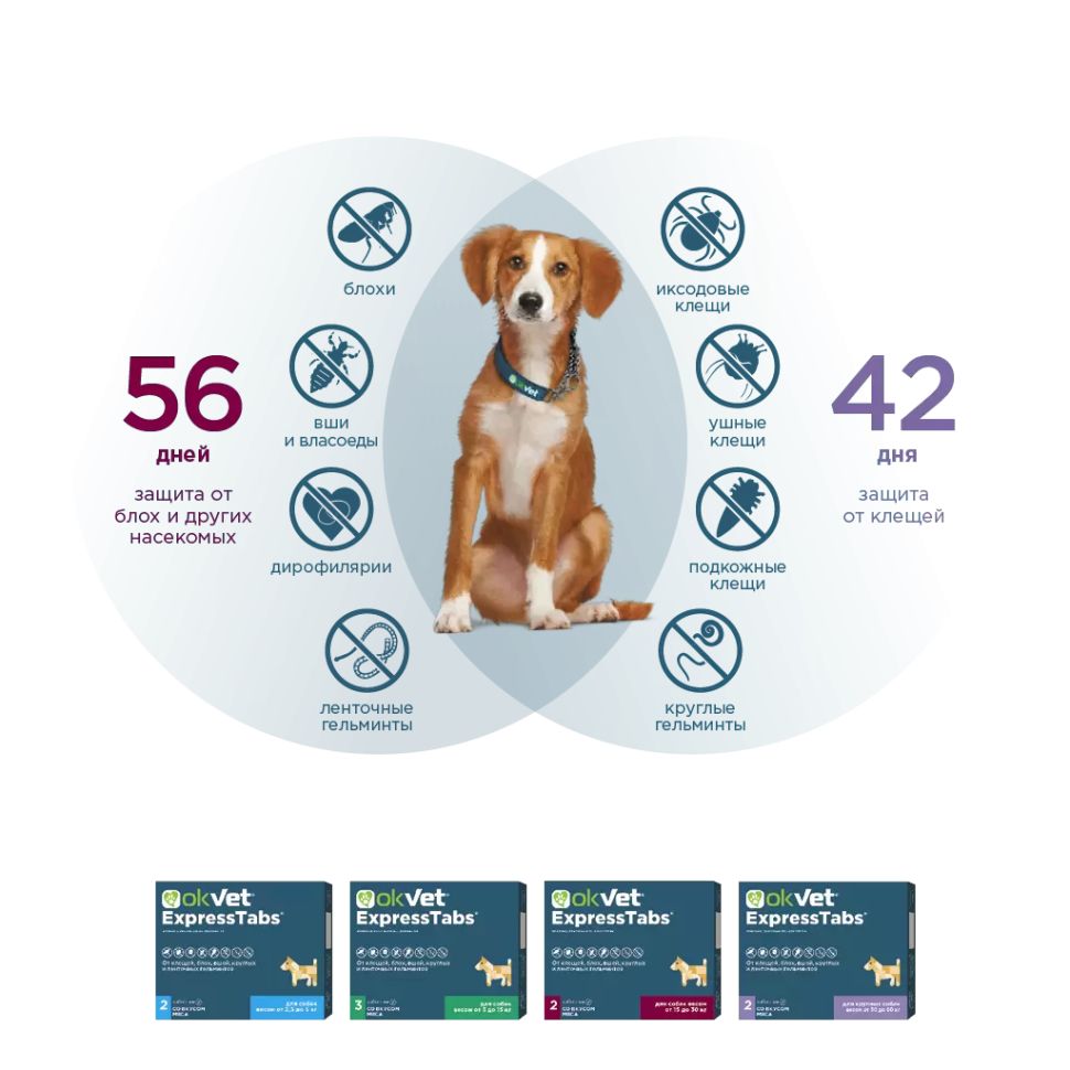 Агроветзащита: OKVET, ЭкспрессТабс, для собак от 5 кг до 15 кг, 3 таблетки
