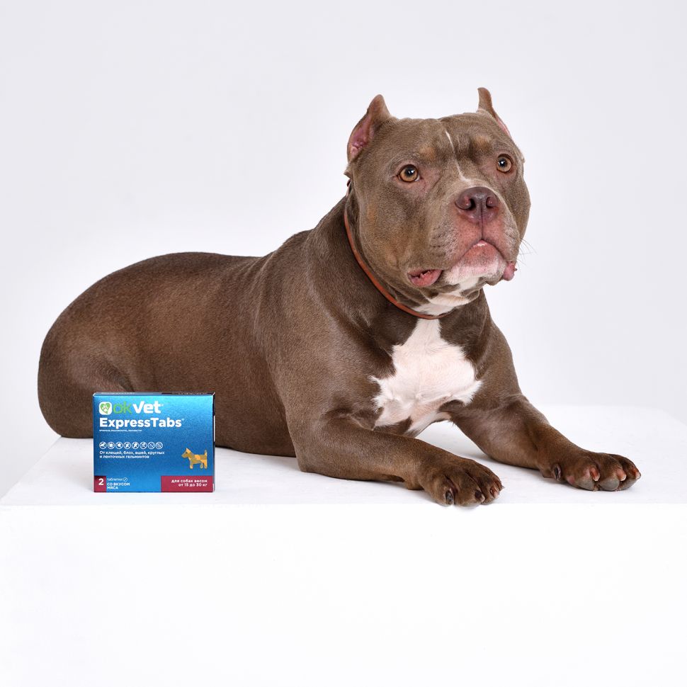 Агроветзащита: OKVET ЭкспрессТабс, для собак от 15 кг до 30 кг, 2 таблетки