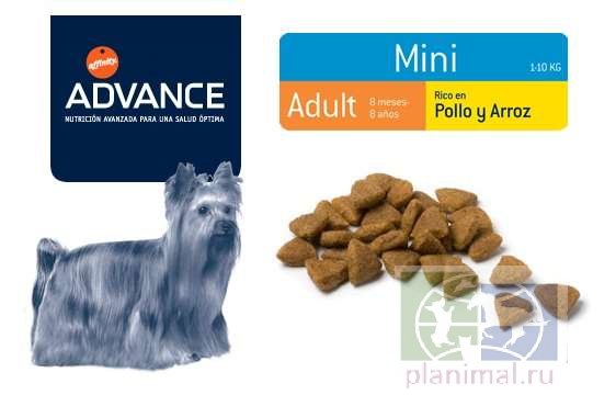 Advance корм для взрослых собак малых пород с курицей и рисом Mini Adult, 7,5 кг