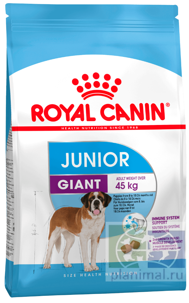 RC Giant Junior, сухой корм для щенков собак очень крупных размеров (вес взрослой собаки более 45 кг) в возрасте с 8 до 18/24 месяцев, 15 кг