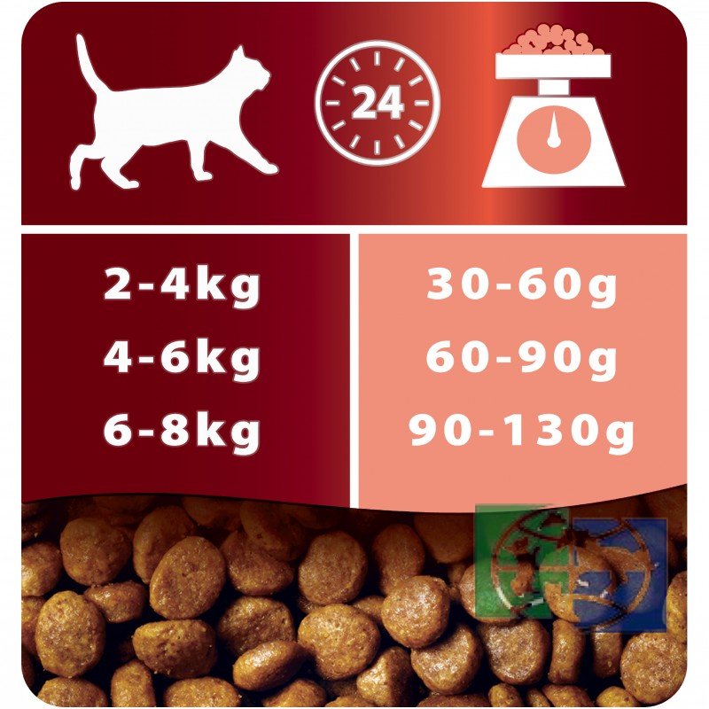 Сухой корм для взрослых кошек Purina Pro Plan Adult, лосось, пакет, 10 кг