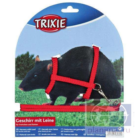 Trixie: Шлейка с поводком для хорьков и крыс, 8 мм х 1,25 м, арт. 6262