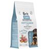 Brit: Care Dog Puppy&Junior L Healthy Growth, Сухой корм с индейкой и ягненком, для щенков крупных пород, 1.5 кг