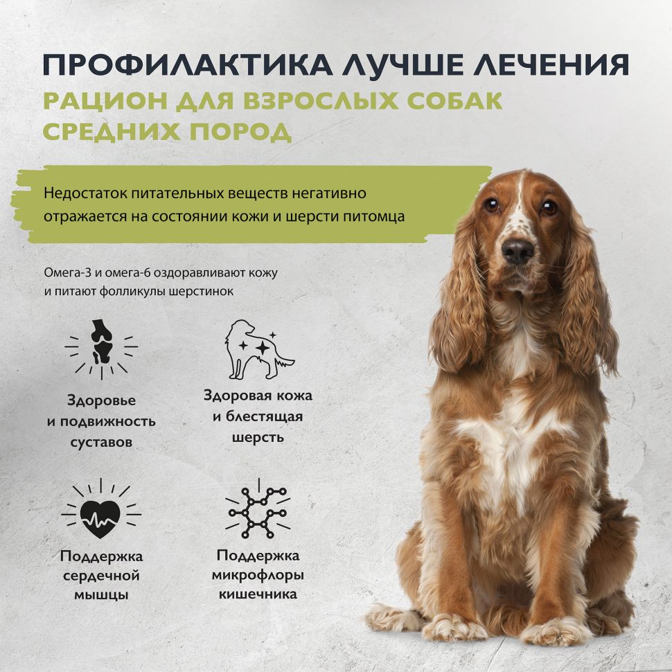 Brit: Care Dog Adult M Healthy Skin&Shiny Coat, Сухой корм с лососем и индейкой, для собак средних пород, 12 кг