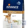 Advance корм для лабрадоров Labrador Retriever, 12 кг