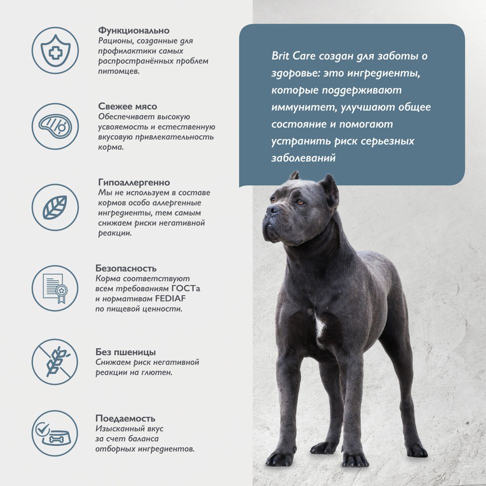 Brit: Care Dog Adult Large Chondroprotectors, Сухой корм с индейкой и уткой, для собак крупных пород, 3 кг