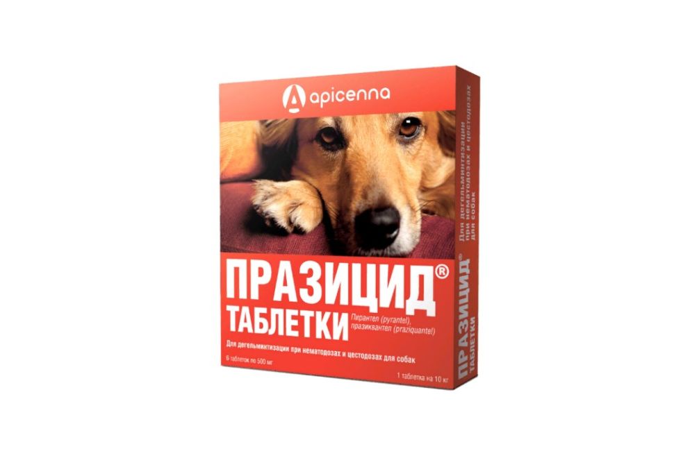 Апи-сан: Празицид, антигельминтик, для собак, 1 табл. на 10 кг, 6 таблеток