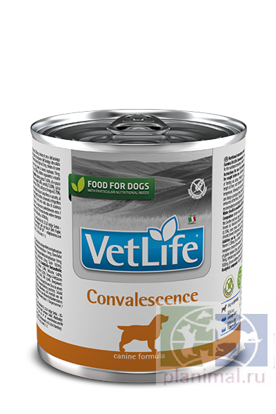 Vet Life Dog Convalescence корм для взрослых собак в период выздоровления в паштете, 300 гр.