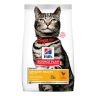 Hill's: Cat Sterilised Urinary health Adult, сухой корм для стерилизованных кошек, склонных к мочекаменной болезни, 300 гр