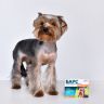 АВЗ: БАРС капли инсектоакарицидные для собак до 10 кг, 1 пипетка, 0,67 мл
