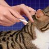 Zoetis: Стронгхолд 45 мг для кошек 2,6-7,5 кг, 0,75 мл, 3 пипетки 
