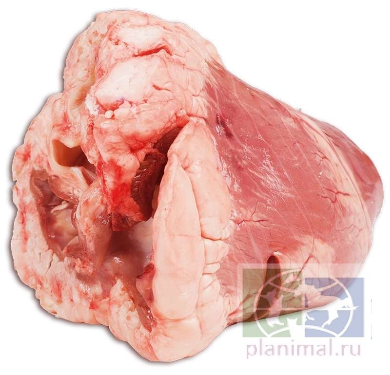 Сердце говяжье, цена за 1 кг